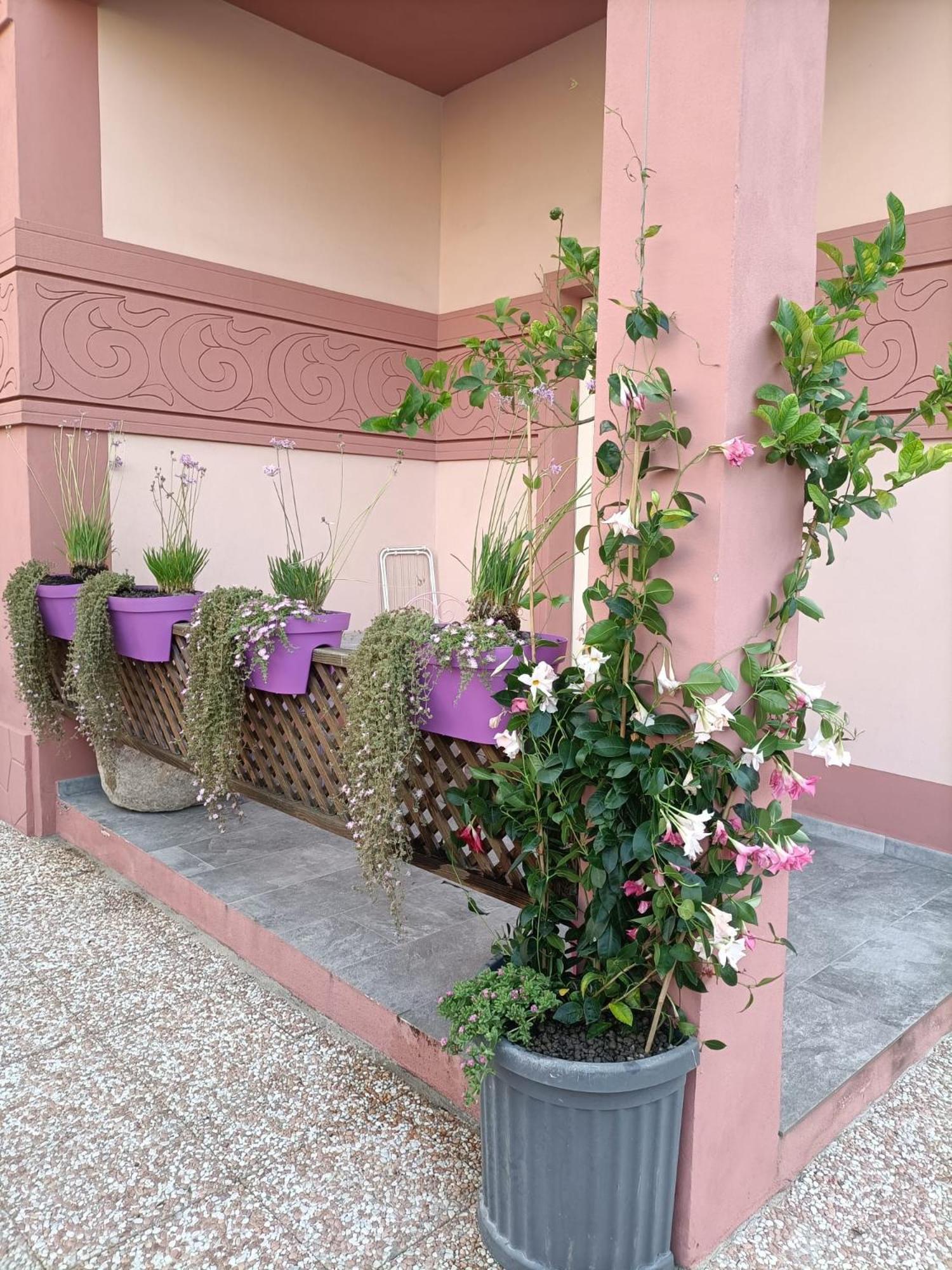 Maison Belle Epoque & Suites Oristano Exterior photo